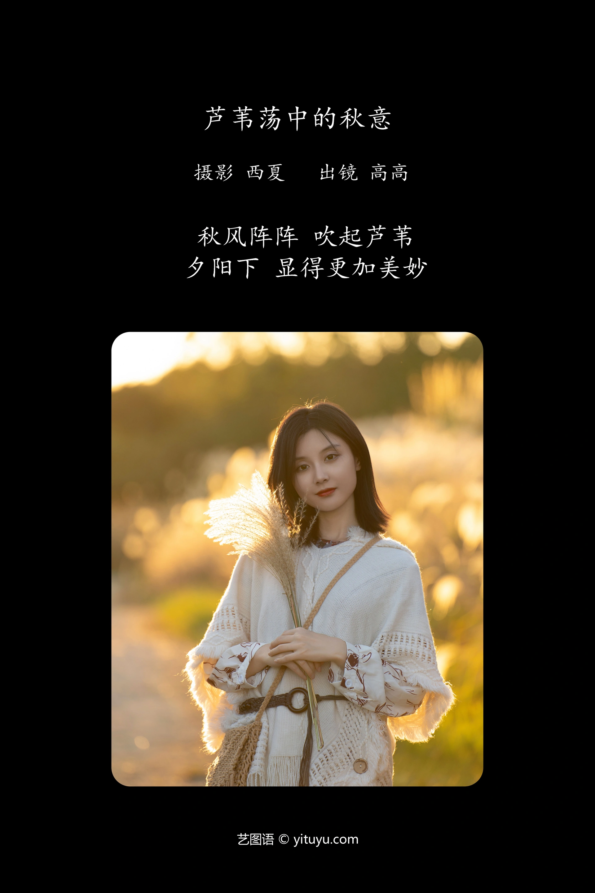 [YITUYU艺图语]2023.12.30 芦苇荡中的秋意 高高 0